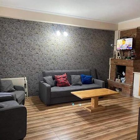 Bakuriani Resort Cottage 1 Storey Екстериор снимка