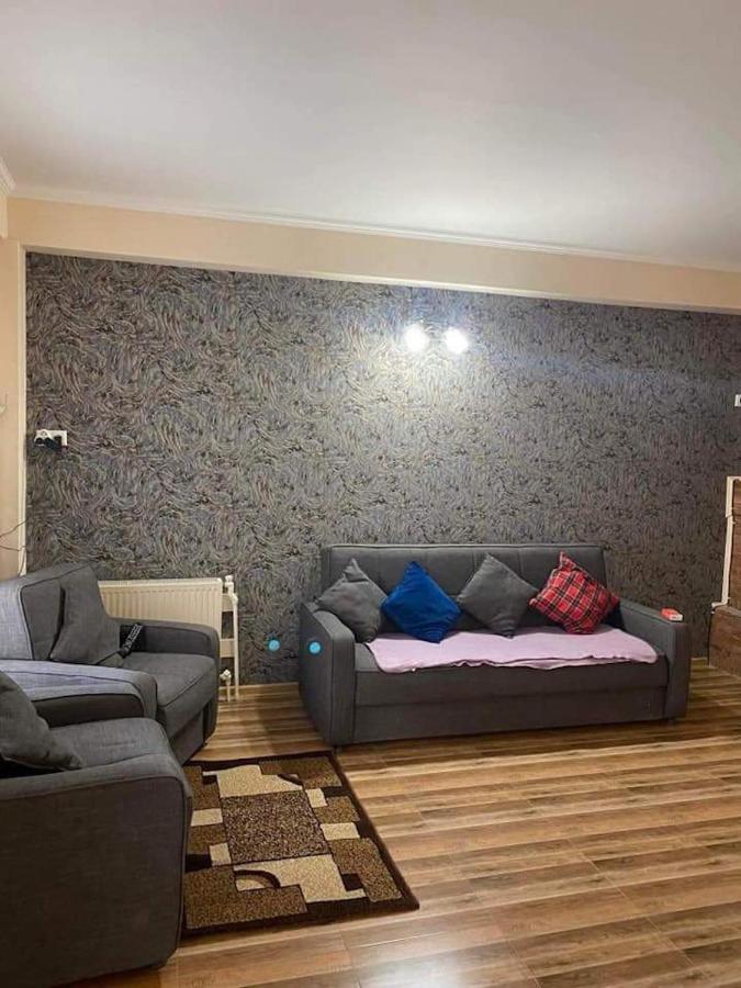 Bakuriani Resort Cottage 1 Storey Екстериор снимка